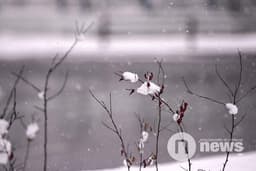 Улаанбаатарт өдөртөө 8 градус дулаан байна