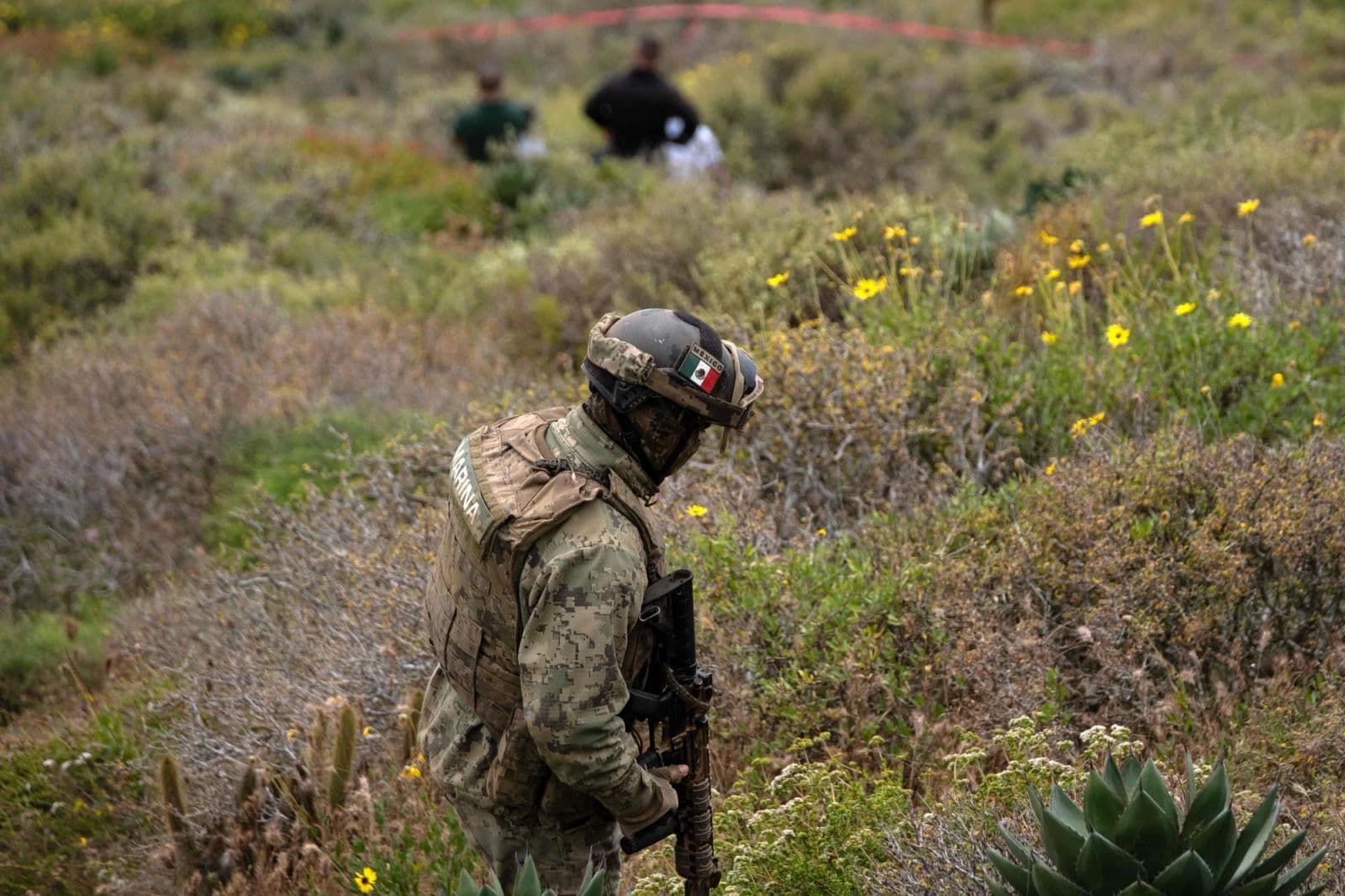 Австрали, АНУ-ын иргэд Мексикт сураггүй алга болсны дараа гурван хүний цогцос олджээ